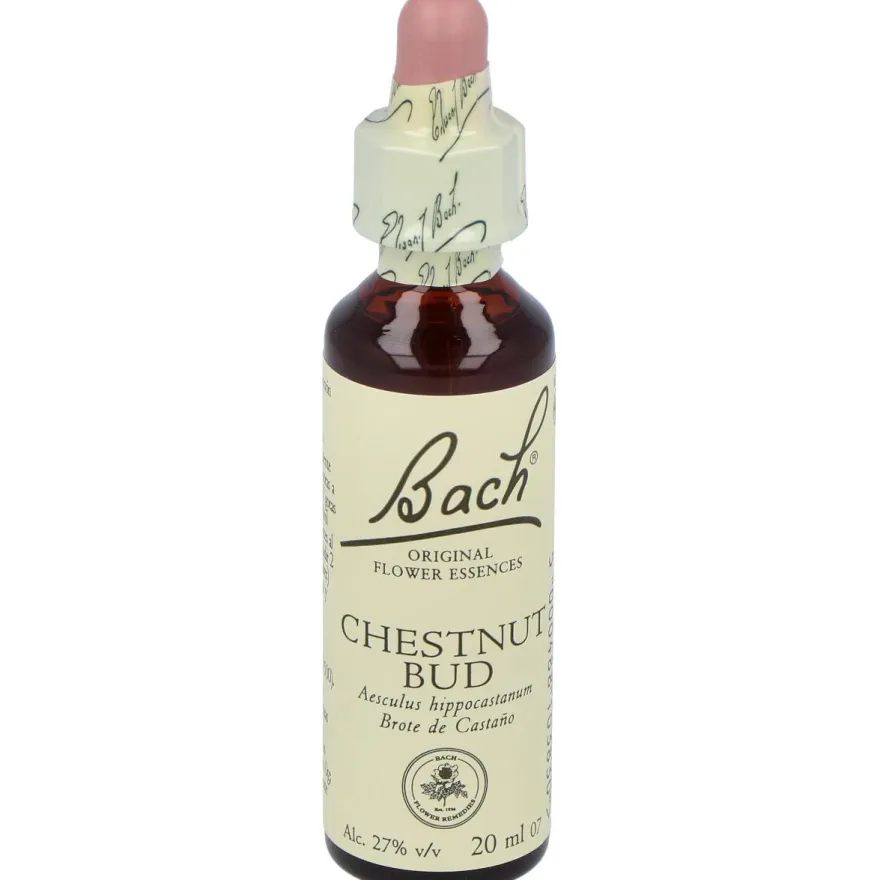 Flores Bach Chestnut Bud Brote Castaño 20ml - Flores de Bach Originales