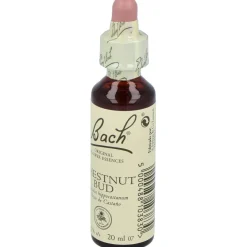 Flores Bach Chestnut Bud Brote Castaño 20ml - Flores de Bach Originales