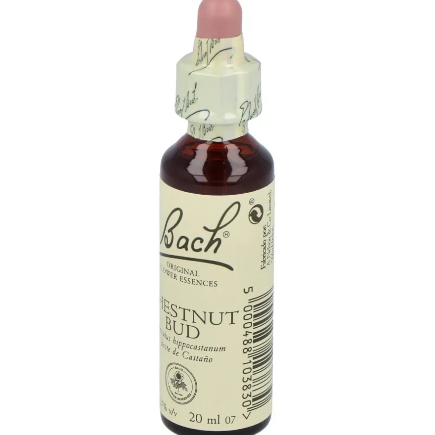 Flores Bach Chestnut Bud Brote Castaño 20ml - Flores de Bach Originales