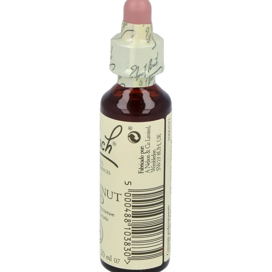 Flores Bach Chestnut Bud Brote Castaño 20ml - Flores de Bach Originales