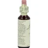 Flores De Bach (03) Beech 20 Ml