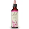 Flores De Bach (11) Elm 20 Ml