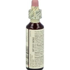 Flores De Bach (13) Gorse 20 Ml