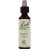 Flores De Bach (15) Holly 20 Ml