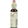 Flores De Bach (19) Larch 20 Ml