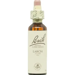 Flores De Bach (19) Larch 20 Ml