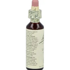 Flores De Bach (19) Larch 20 Ml