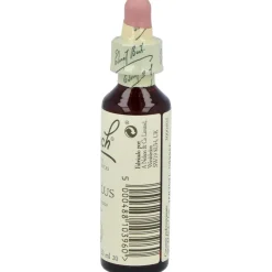 Flores de Bach (20) Mimulus 20 ml - Flores de Bach Originales