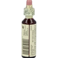 Flores De Bach (23) Olive 20 Ml