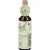 Flores De Bach (28) Scleranthus 20 Ml