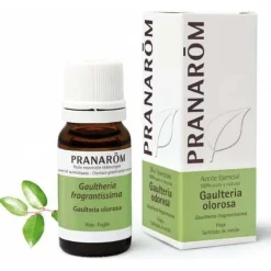 Gaulteria Olorosa Hoja Aceite Esencial Bio 10Ml.