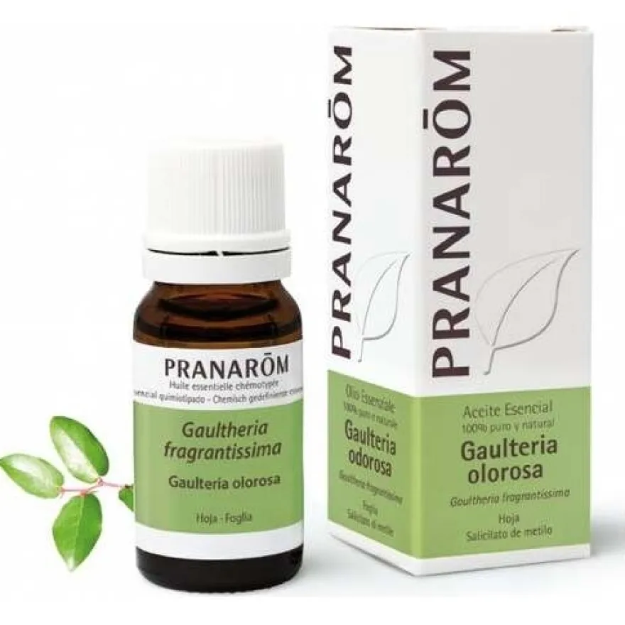 Gaulteria Olorosa Hoja Aceite Esencial Bio 10Ml.