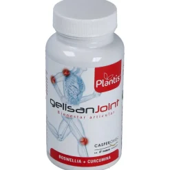 Gelisan Joint 60Cap.