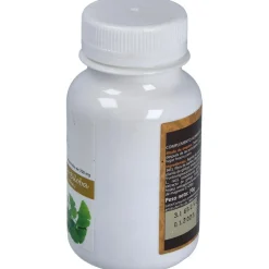 Ginko Biloba 700 mg Sotya 100 Comprimidos - Sotya