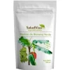Harina de Banana Verde 200g - Salud Viva