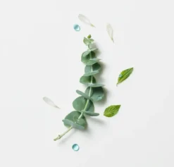 Head Spa Astera Fresh Fluido Calmante Refrescante, 50 ml. - René Furterer