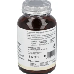 Herboplant Sedancap 60cap - Herbora