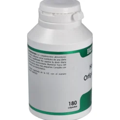 Holofit Ortiga Verde 180Cap.