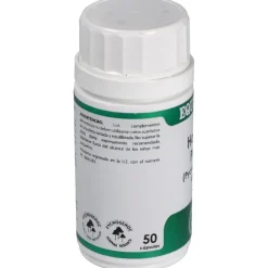 Holofit Pino (pycnogenol) 50cap - Equisalud