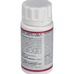 Holomega Hericium 50caps - Equisalud