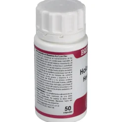Holomega Hericium 50caps - Equisalud