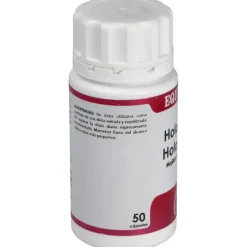 Holoperna Mejillon De Labio Verde 50Cap.
