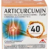 Intersa Articurcumin Forte 30 Sobres