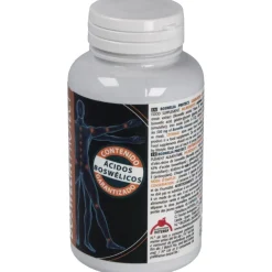 Intersa Boswelia Protect 500Mg 45 Perlas