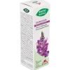 Intersa Phyto-Bipole Bio Desmodium 50Ml