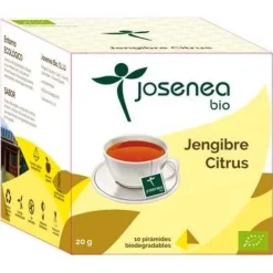 Jengibre - Citrus 10piramides Ensobradas Bio - Josenea