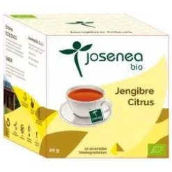 Jengibre - Citrus 10piramides Ensobradas Bio - Josenea