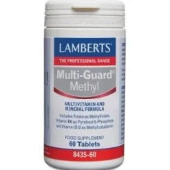 Lamberts Multi Guard Methyl 60Comp