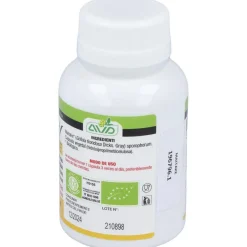 Micoteraphy Maitake 595 Mg 90 Capsulas Avd