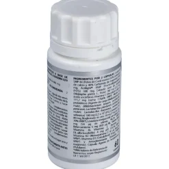 Microbiota Prodental 60Cap.
