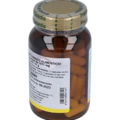 Msm 1000 Metilsulfonilmetano 60Cap. 2