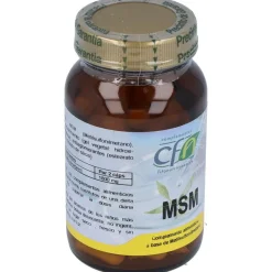Msm 1000 Metilsulfonilmetano 60Cap. 2