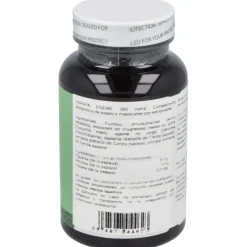 Naturesplus Papaya Enzyme 360comp - Natures Plus