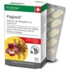 Pagosid (Harpago) 80Comp. Dr.Dunner