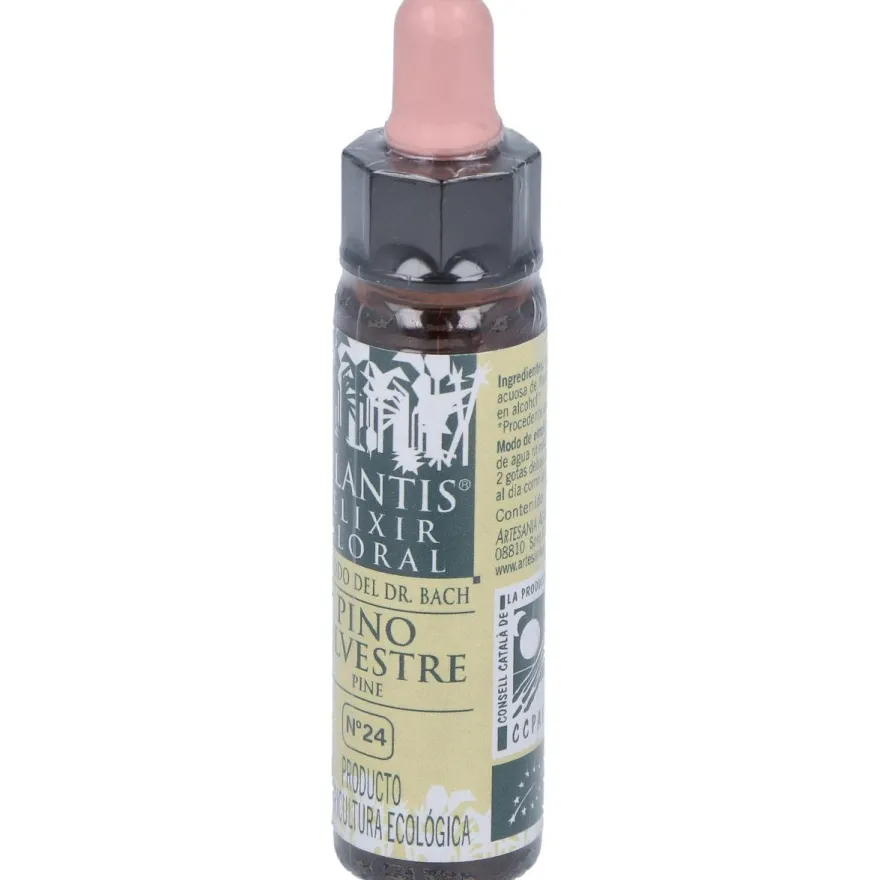 Pine Plantis Flores de Bach Nº 24 10ml - Artesania Agricola
