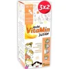 Pinisan Multi Vitamin Junior 250Ml