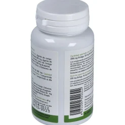Plantapol Ginkgo Biloba 100 Comprimidos