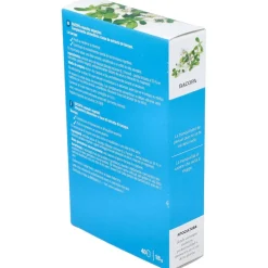 Plantas Fit Bacopa 40caps - Santiveri