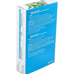 Plantas Fit Bacopa 40caps - Santiveri