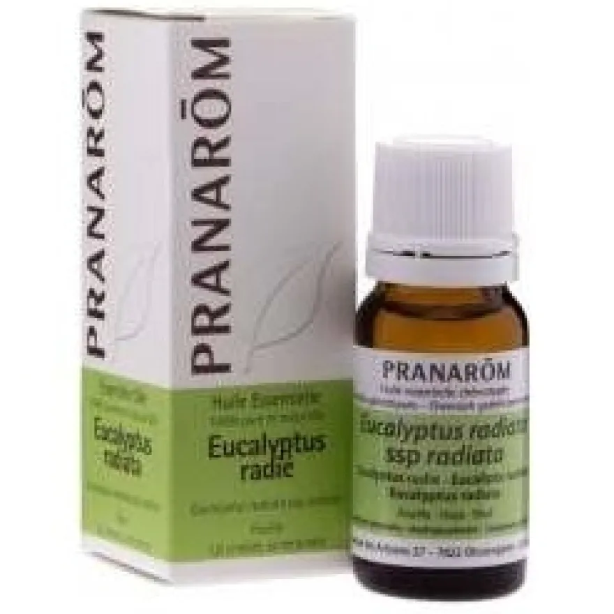 Pranarôm Aceite Esencial de Eucalipto Radiata 10ml - Sin Marca