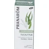 Pranrom Eucalypur Aceite Difusión, 30 ml - Pranarom