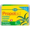 Propolaid Trepatdiet Pastillas Blandas de Eucalipto 50g - Esi