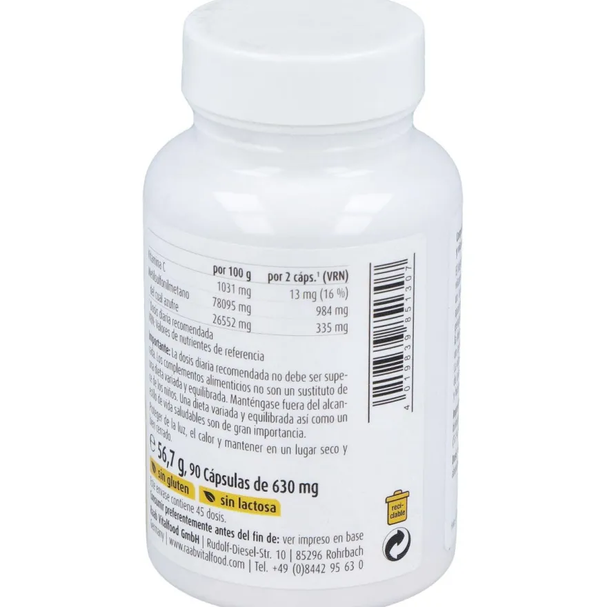 Raab Vitalfood Msm Con Vitamina C 90Caps