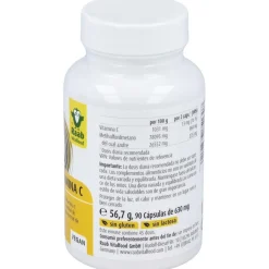 Raab Vitalfood Msm Con Vitamina C 90Caps