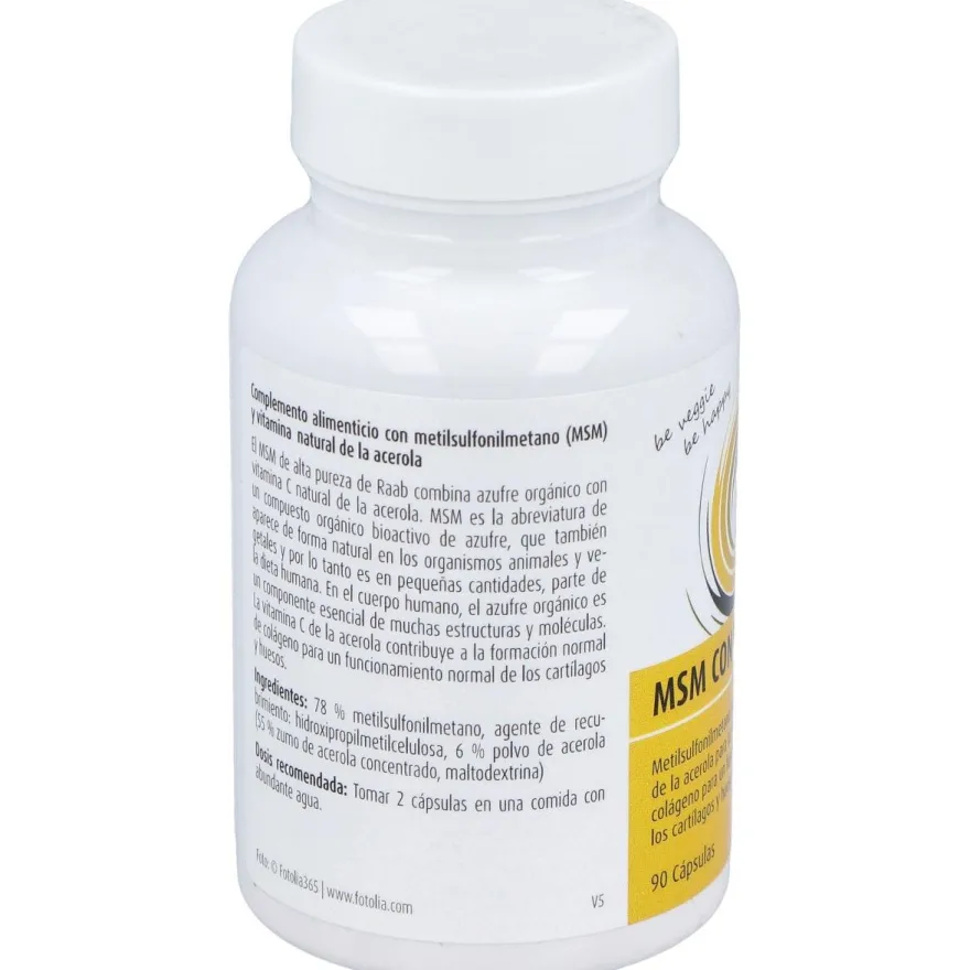 Raab Vitalfood Msm Con Vitamina C 90Caps