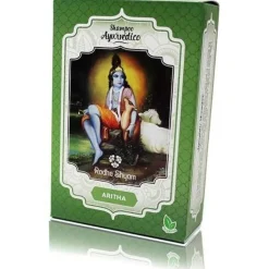 Radhe Shyam Shampooing Ayurvédique Poudre D'Aritha 100G